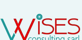 WisesConsulting – l’intelligence des solutions sur mesure