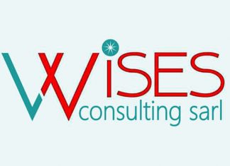 WisesConsulting – l’intelligence des solutions sur mesure