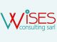 WisesConsulting – l’intelligence des solutions sur mesure