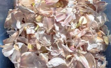 Astuces : les vertus des peaux d’ail