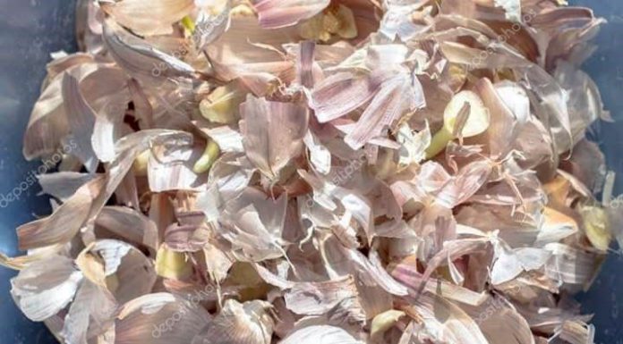 Astuces : les vertus des peaux d’ail