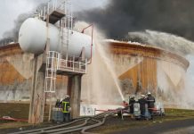 Sonara. : Un pan important de l’économie camerounaise vole en fumée