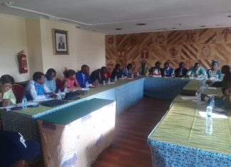 Grand dialogue national : la Js-Cemac se mobilise pour accompagner Paul Biya
