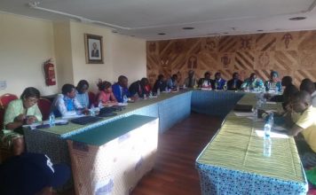Grand dialogue national : la Js-Cemac se mobilise pour accompagner Paul Biya