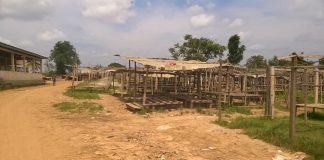 Bokito : Ville riche, populations pauvres