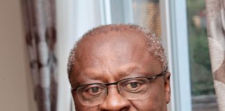 Le Cameroun et sa diaspora : des regards aigres doux