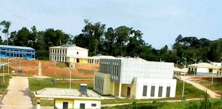 Le Pr Marcelin Vounda Etoa répond au Pr Ambroise Kom : « Notre pays n’a pas à rougir de son système éducatif »